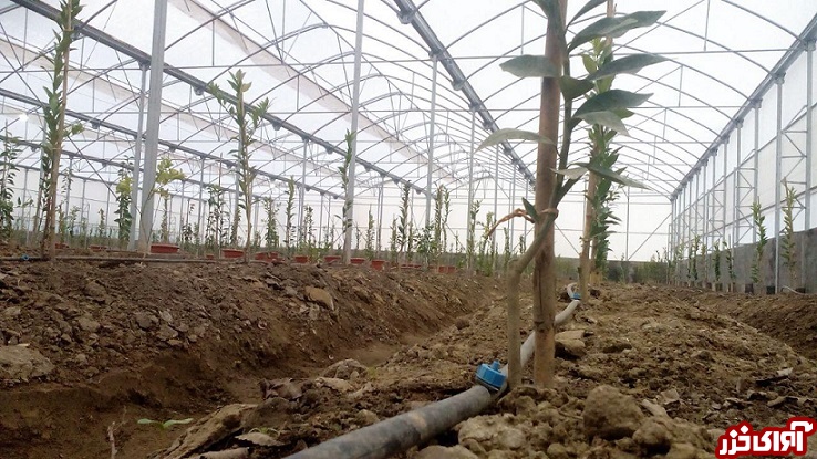 افتتاح 2 پروژه بخش کشاورزی در بهشهر