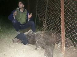 نجات خرس گرفتار از تله سیمی در سوادکوه + تصاویر