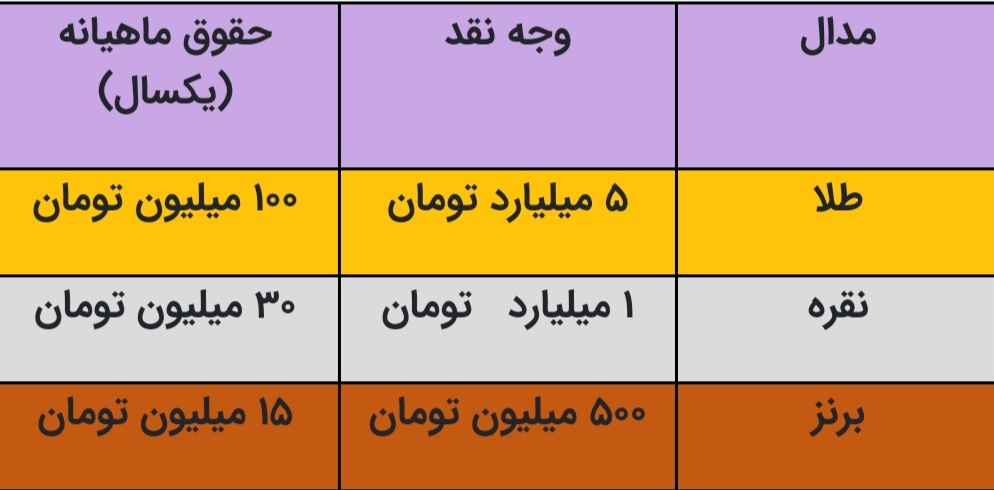 پاداش 6 میلیارد تومانی فدراسیون، برای طلای المپیک پاریس