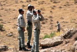 تصویر لید
