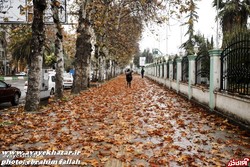 تصویر لید