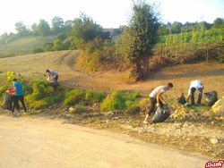 تصویر لید