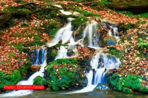 جلوه‌های پاییزی شیرین‌رود دودانگه ساری در قاب دوربین ابراهیم فلاح