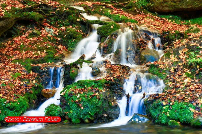 جلوه‌های پاییزی شیرین‌رود دودانگه ساری در قاب دوربین ابراهیم فلاح