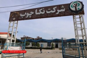 شرکت نکاچوب بر مدار توسعه| واحدهای احیا شده را دریابیم